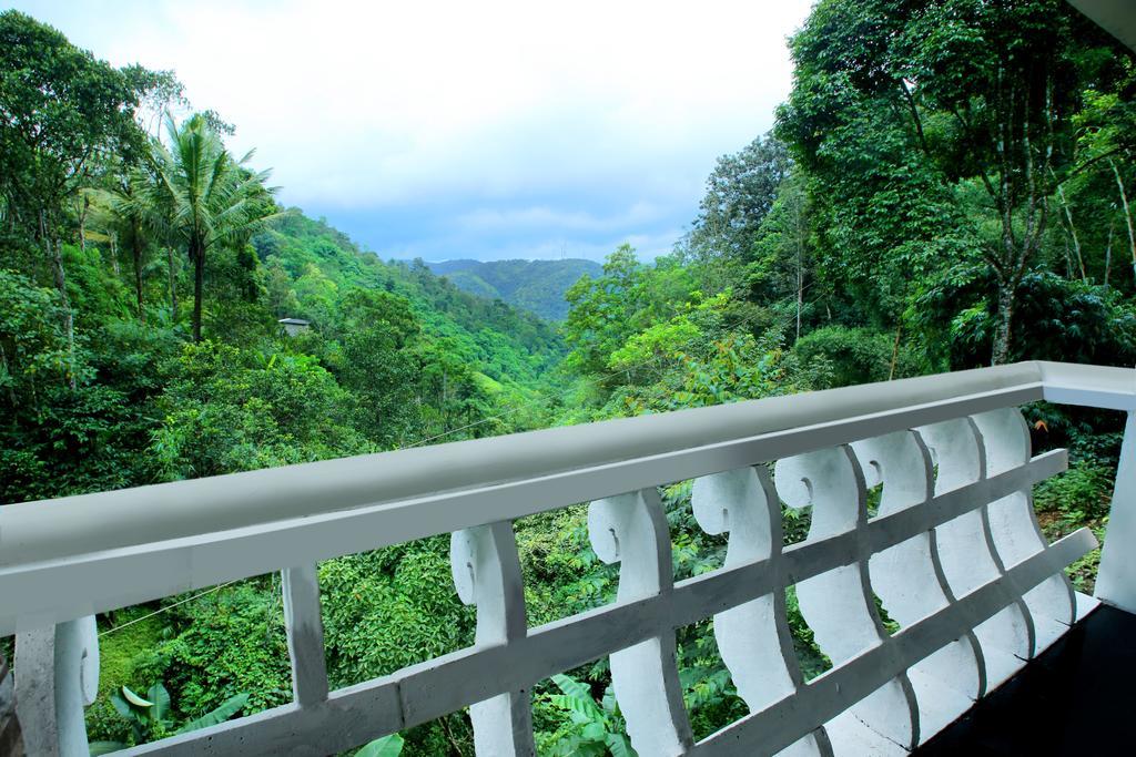 Spring And Valley View Thekkady Pokoj fotografie
